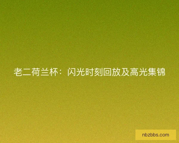 老二荷兰杯：闪光时刻回放及高光集锦